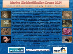 1148889_288250931332020_8366102507608312761_n