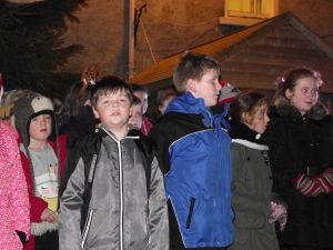 Christmas Lights 2014 013