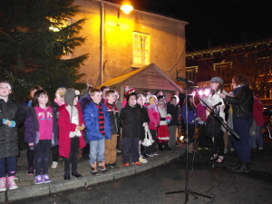 Christmas Lights 2014 015