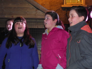 Christmas Lights 2014 018