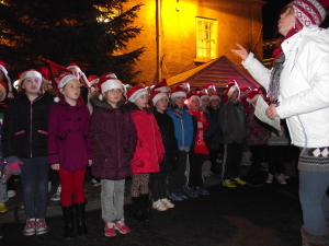 Christmas Lights 2014 027