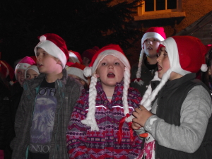 Christmas Lights 2014 037