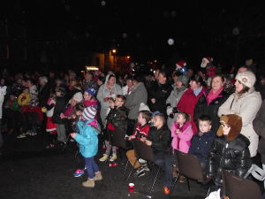 Christmas Lights 2014 041