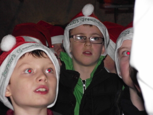 Christmas Lights 2014 047