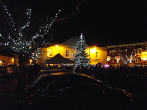 Christmas Lights 2014 059